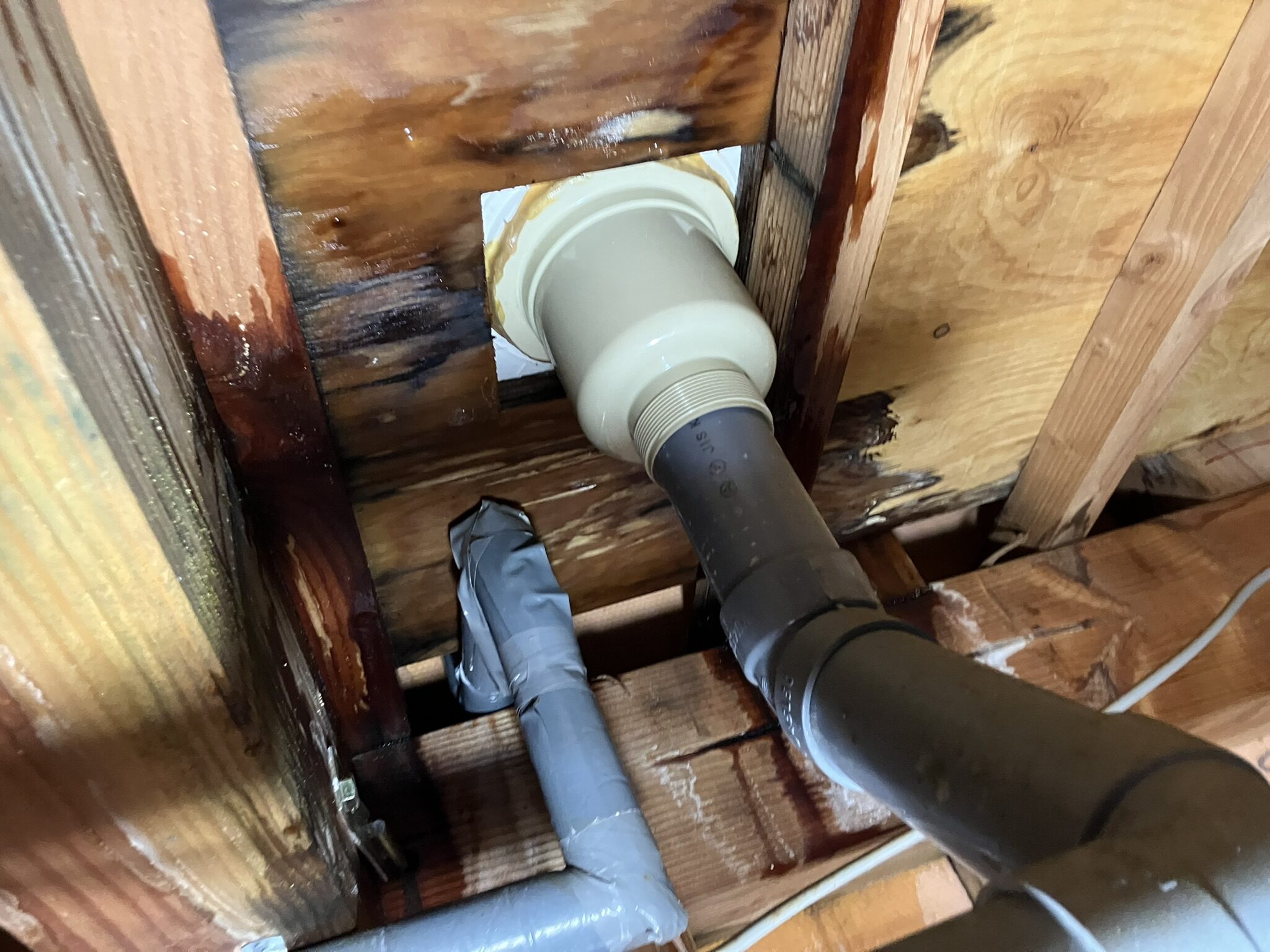 浴室天井裏・水漏れによって濡れた梁の様子